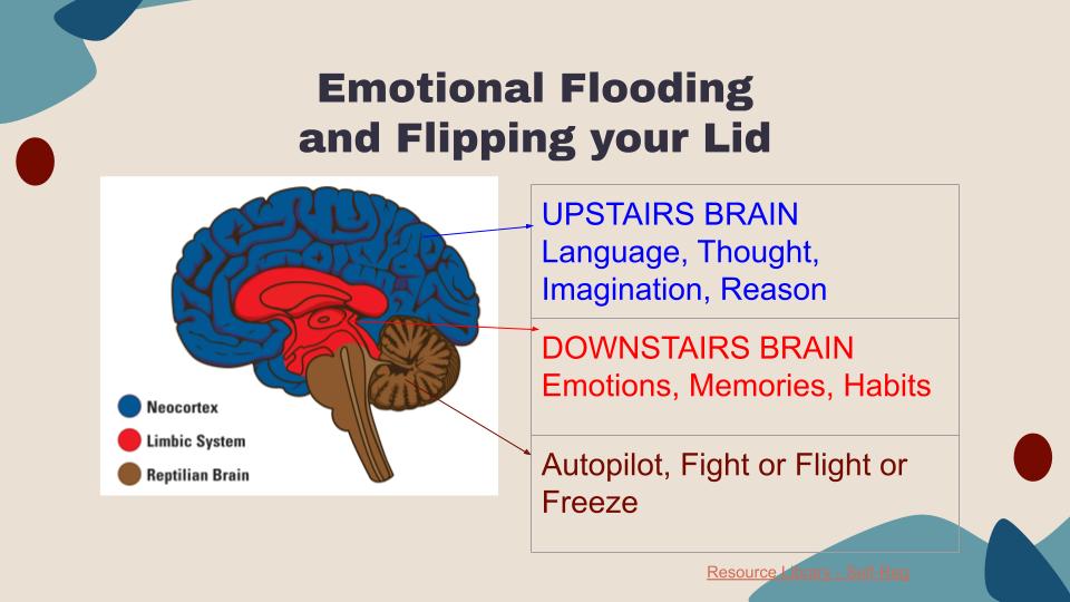 2)Flipping our Lid Brain Slide